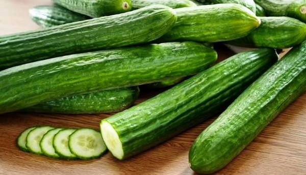 تصویر 3 از خرید و قیمت خیار سبز صادراتی + فروش عمده